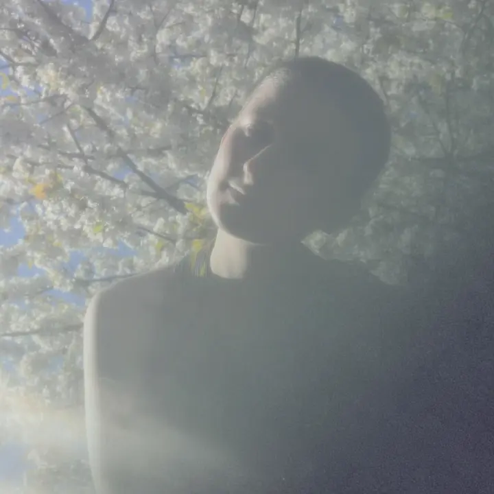 Sprout - Artist profile image